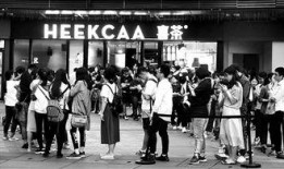 排队最新活动爆料,揭秘最新活动亮点与福利大放送！