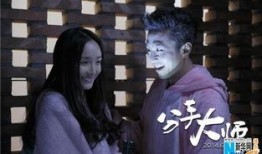 在线观看分手大师,揭秘现代爱情困境的喜剧之旅