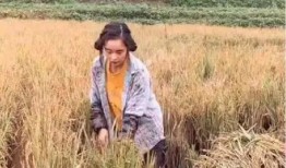 黄琴的最新爆料,娱乐圈惊人内幕大曝光！